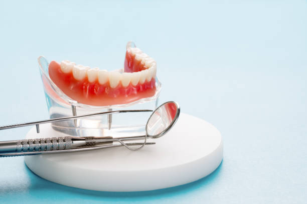 Best Preventive Dentistry  in Interlachen, FL
