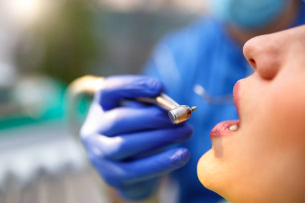  Interlachen, FL Holistic Dental Services Pros